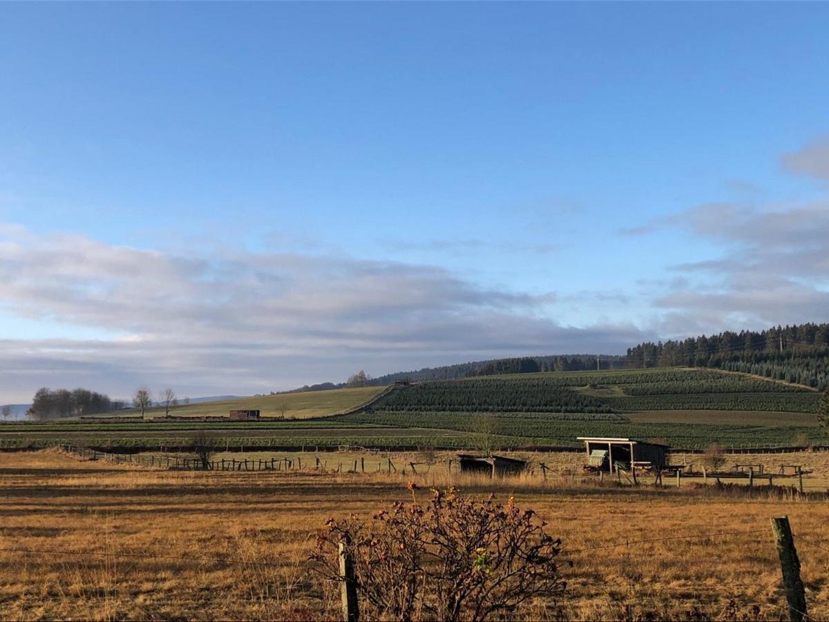 Ferienhaus Kuestelblick Medebach Esterno foto