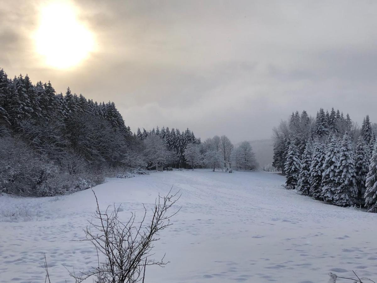 Ferienhaus Kuestelblick Medebach Esterno foto