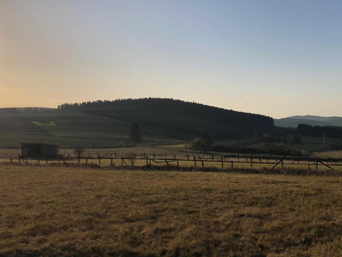 Ferienhaus Kuestelblick Medebach Esterno foto