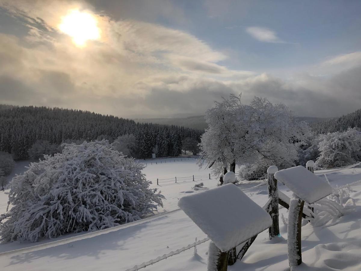 Ferienhaus Kuestelblick Medebach Esterno foto